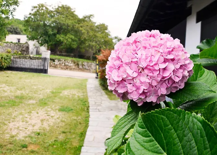 Casa Oceano Con Jardin En Noja, Isla, Prázdninový dům