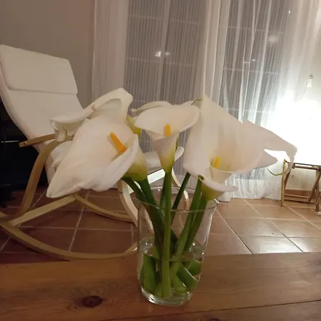 Σπίτι διακοπών Casa Oceano Con Jardin En Noja, Isla,