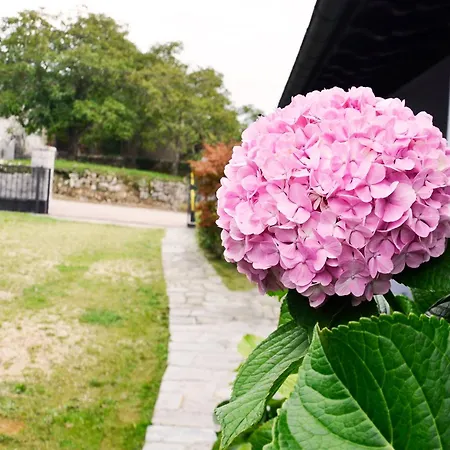 Casa Oceano Con Jardin En Noja, Isla, Σπίτι διακοπών