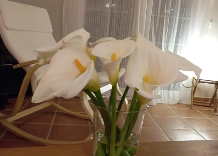 בית נופש Casa Oceano Con Jardin En Noja, Isla,